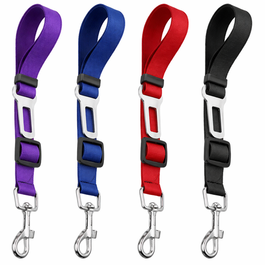 Ceinture de sécurité pour chien