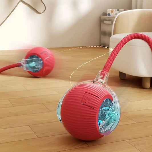 Balle interactive pour chat