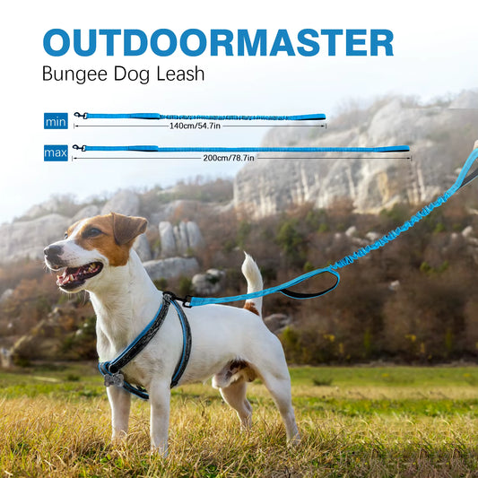 Laisse pour chien élastique