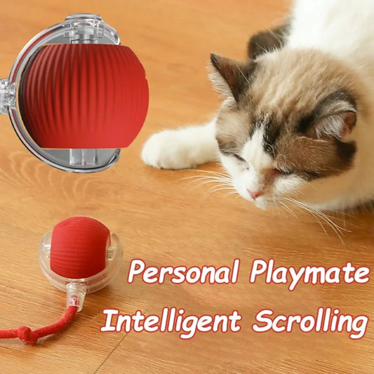 Balle interactive pour chat