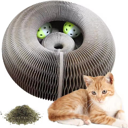 Planche d'orgue à gratter pour chats