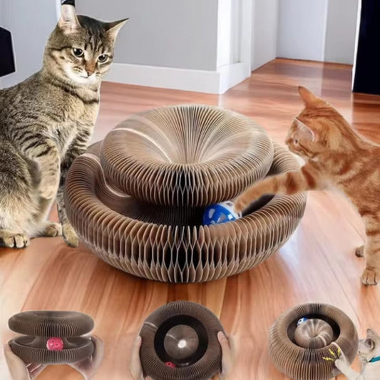 Planche d'orgue à gratter pour chats