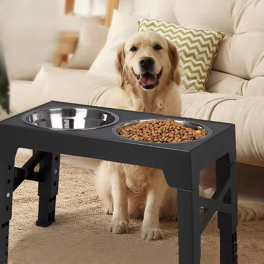 Mangeoire surélevé pour chien