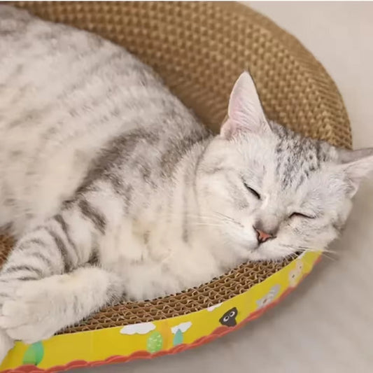 Planche à gratter pour chats