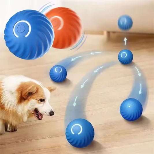 Jouet intelligent électronique