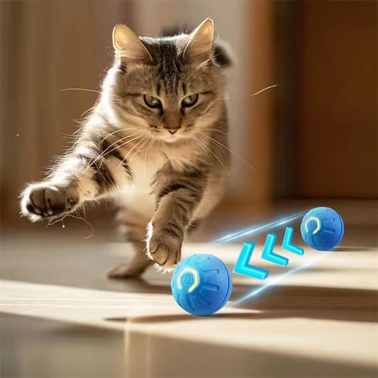 Jouet intelligent électronique